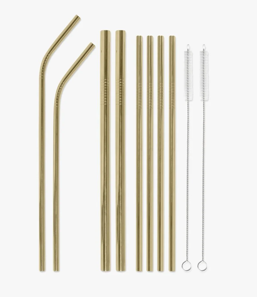 Stainless Steel Gold Straw Set - Strawsome by Designworks Ink.