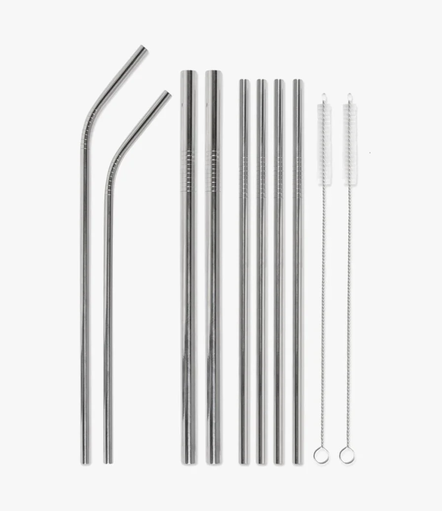 Stainless Steel Straw Set This Is The Last Straw - Natural by Designworks Ink.