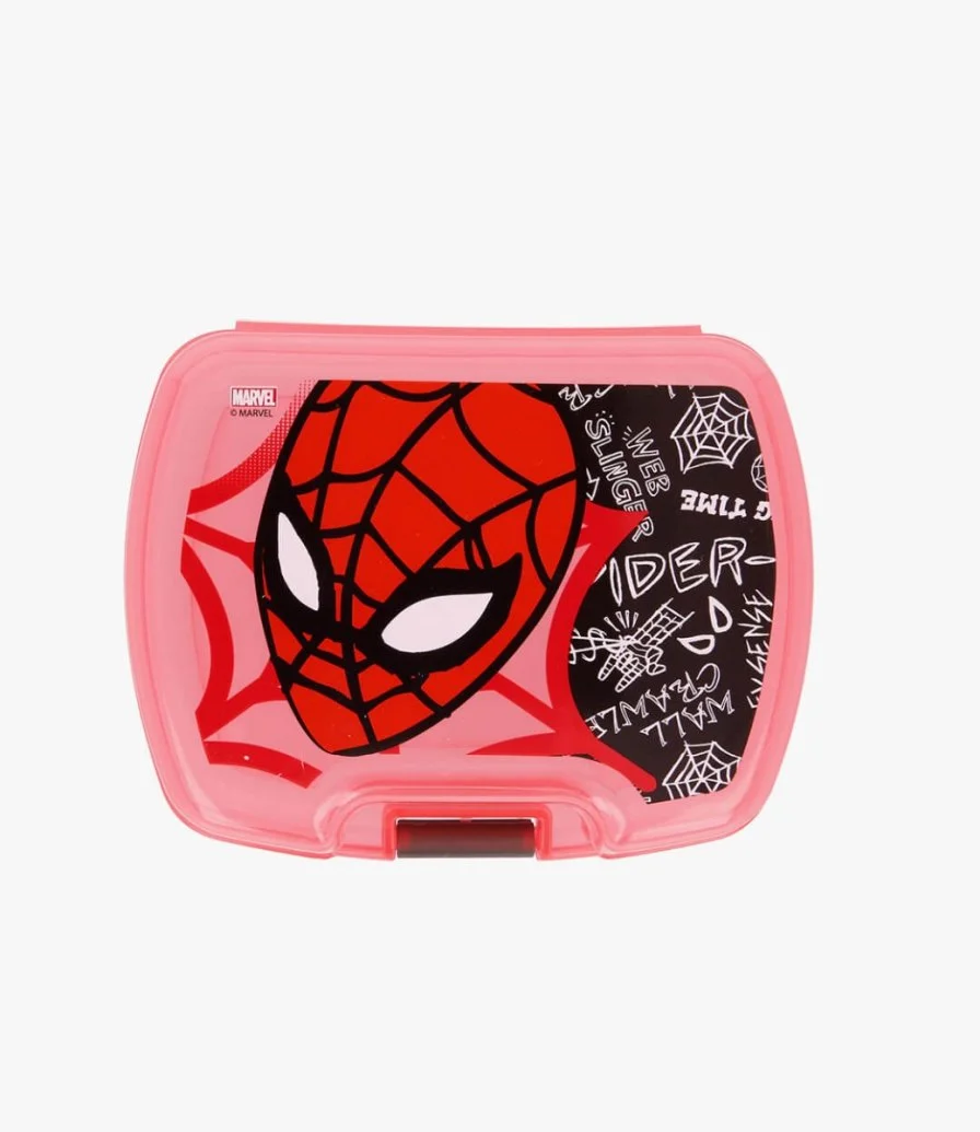 Stor Premium Single Sandwich Box Spiderman Urban Web