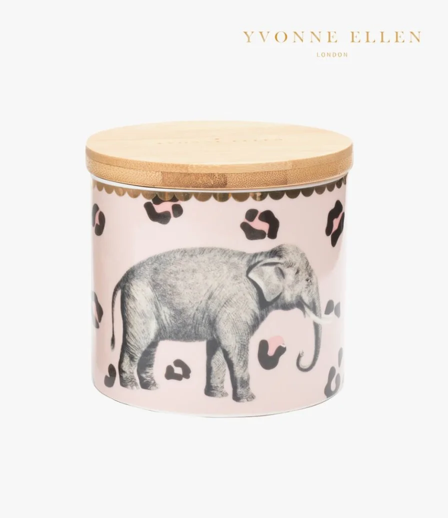 Small Storage Jar Elephant Design By Yvonne Ellen