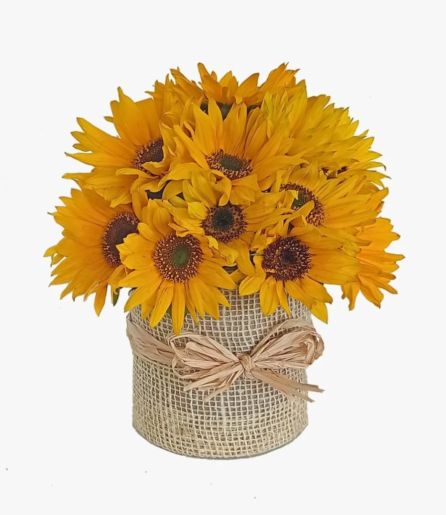 Sun Flower in Jute Wrapped Glass Vase