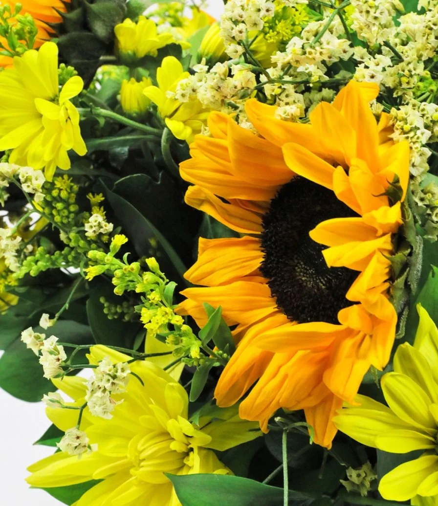صندوق زهور عباد الشمس