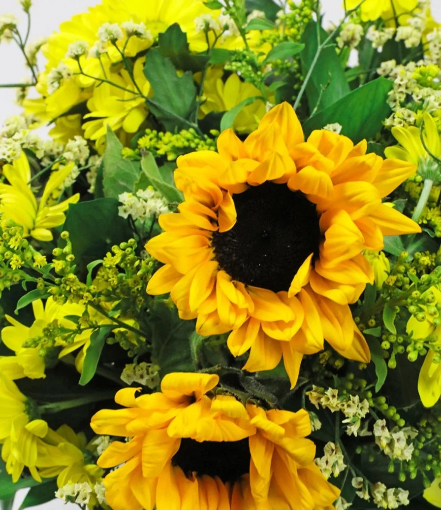 صندوق زهور عباد الشمس