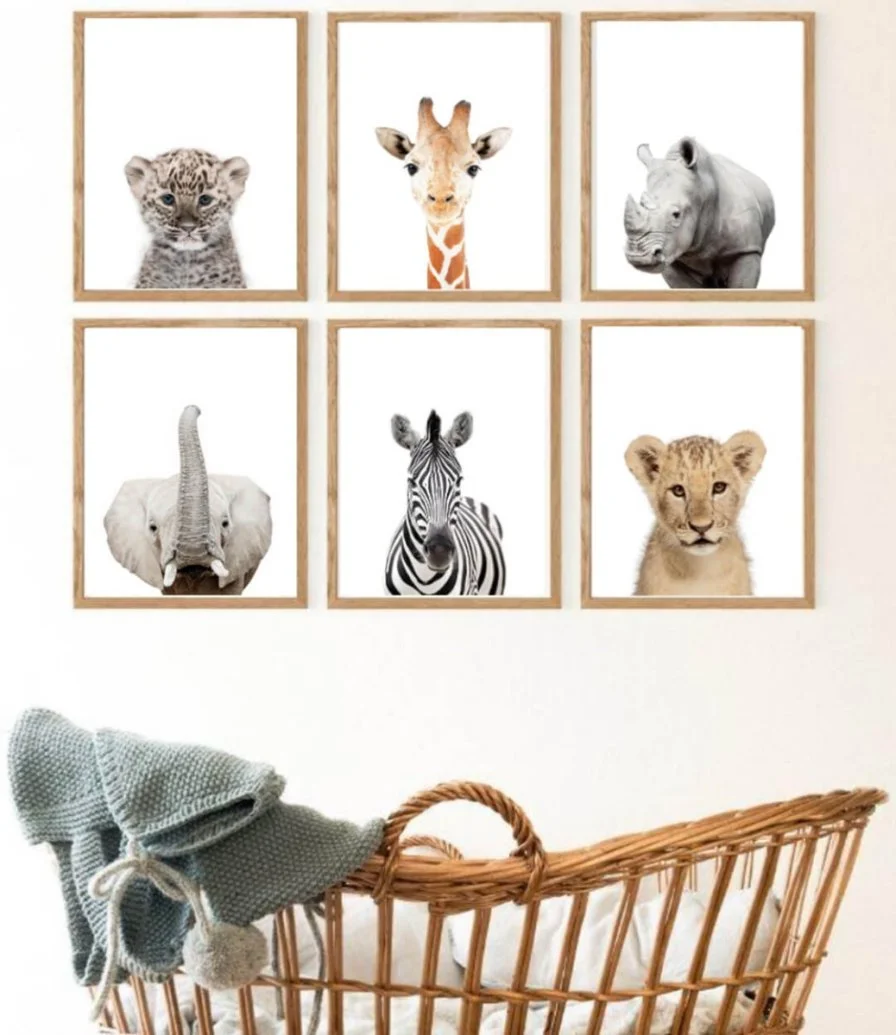 Set of 6 - Animal Safari Wall Art Prints by Sweet Pea