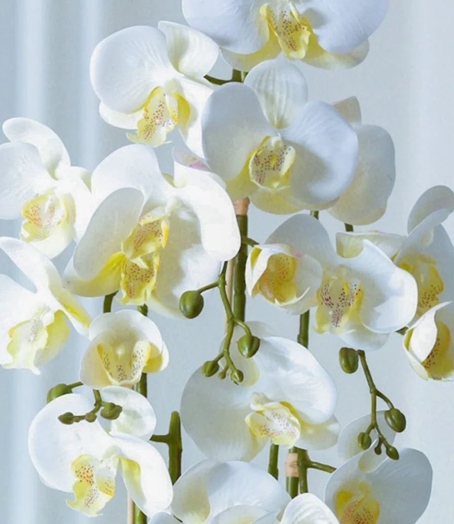 The Beauty Of Orchid  Flower Vase