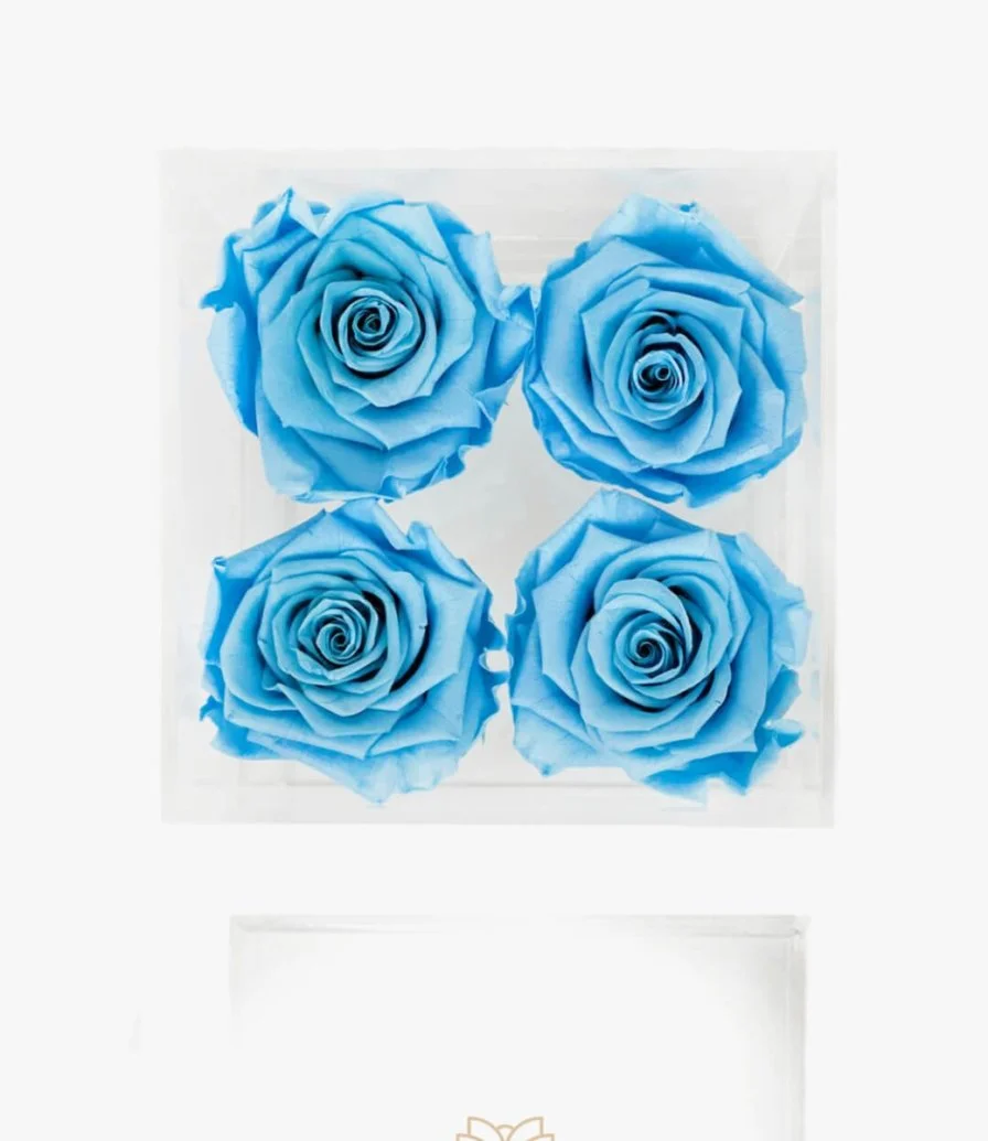 ذا بلووم | 4 زهور زرقاء تيفاني