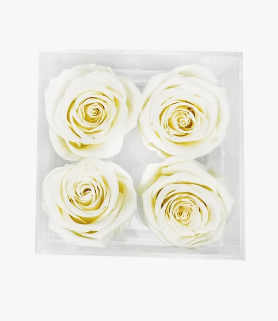 The bloom |4 white  Single roses