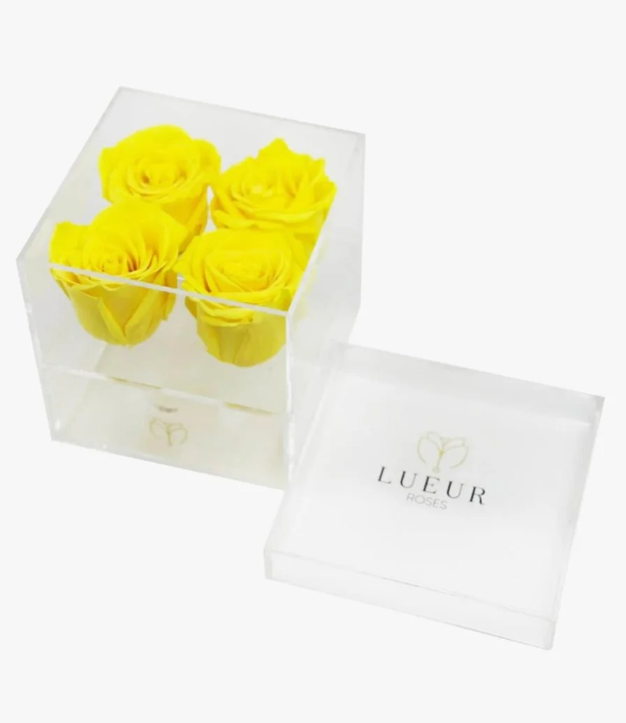 The bloom | 4 Yellow Single roses
