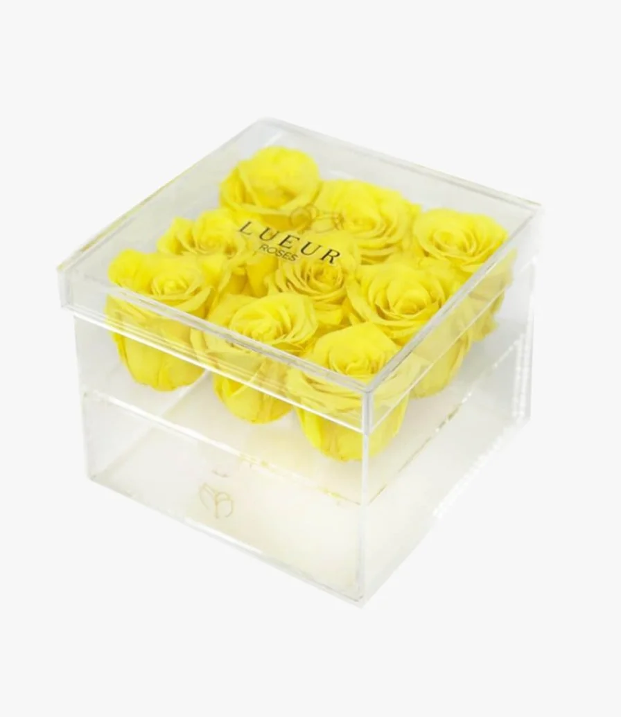The bloom | 9 Yellow Single roses