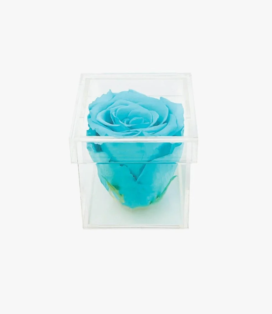 The bloom | Tiffany blue Single rose