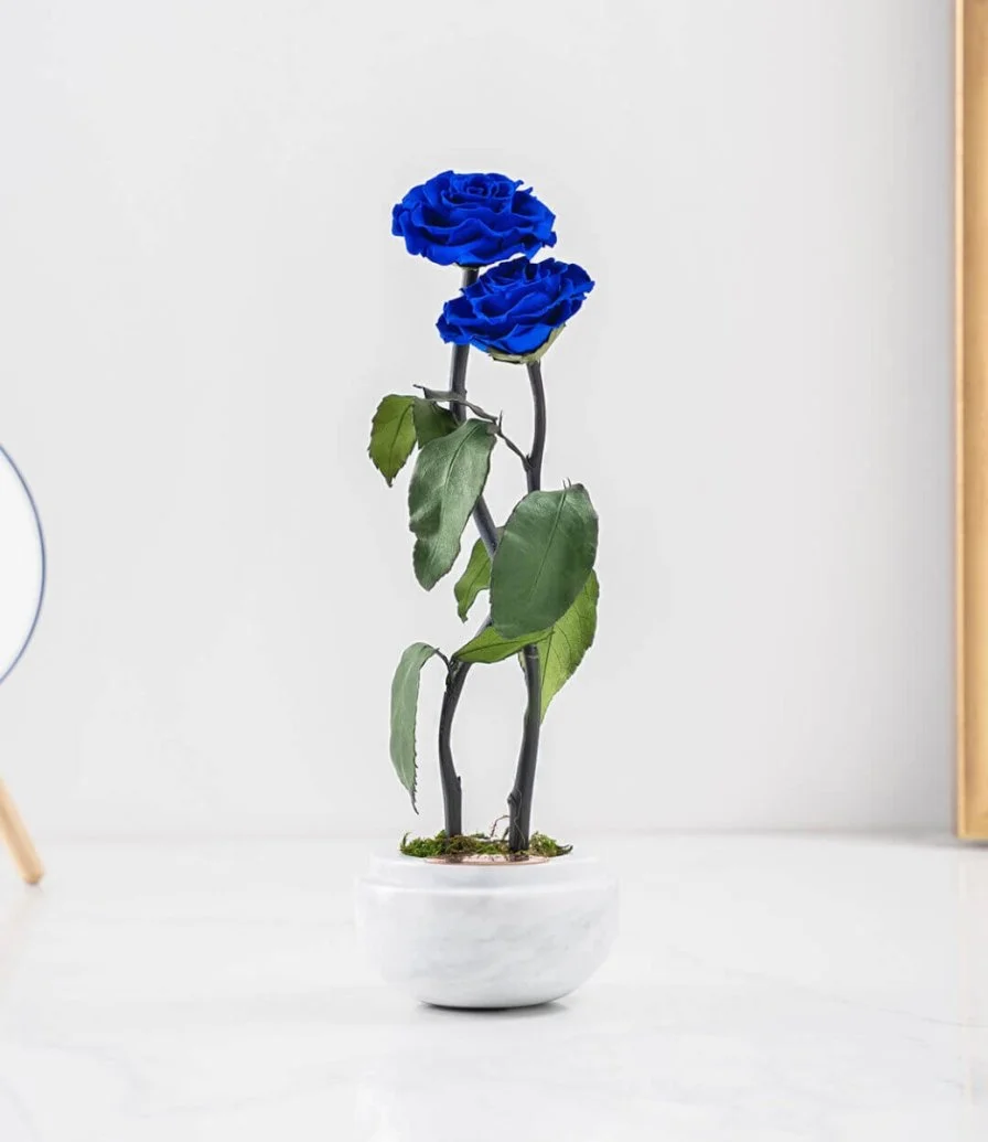 The Infinity Capsule White Marble - Royal Blue Rose