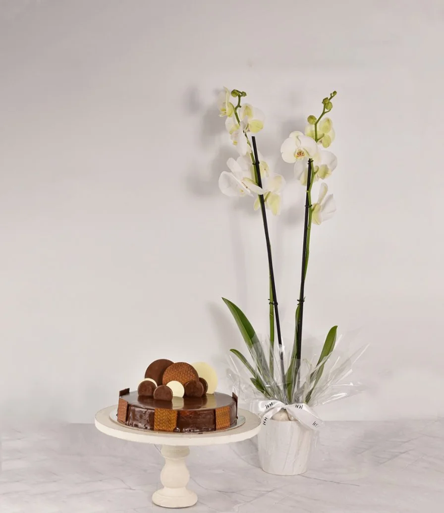 Trois Chocolate Cake & Orchids Bundle By Secrets