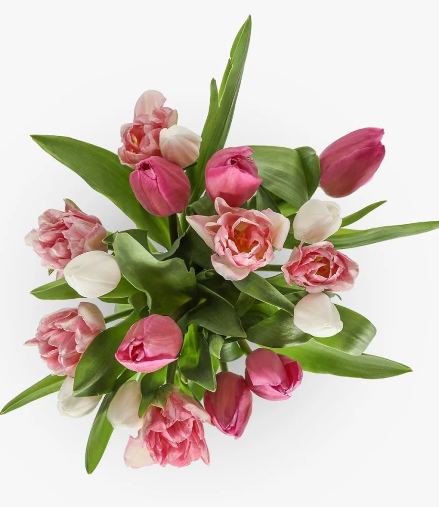 Tulip Flower Weekly Subscription