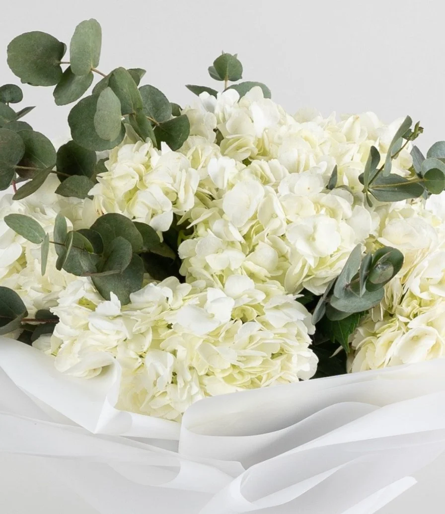 White Clouds of Hydrangea Bouquet