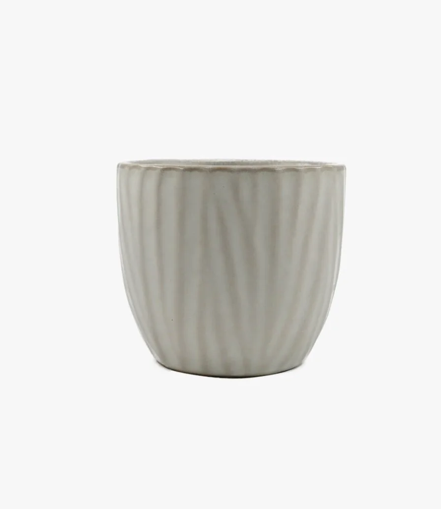 White Lines Cup by Otta