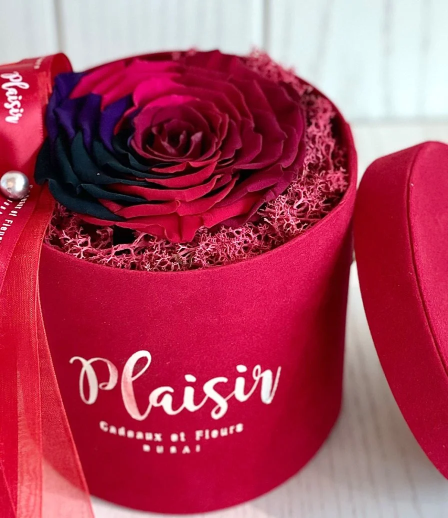 XL Multicoloured Infinity Rose in Red Box by Plaisir