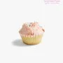 Vanilla Mini Cupcakes by The Hummingbird Bakery