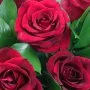 18 Roses Bouquet*