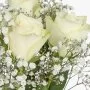 The White Fantasy Roses Arrangement