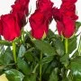 Red Rose and Kala Box
