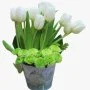 Tulip Flowers in a Pot