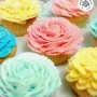6 Flower Cupcakes by Magnolia Bakery 