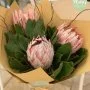 Protea Bouquet By Plaisir