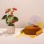 Ashjar Anthurium and Cake Gift Set