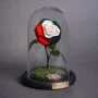 Bella Mini - UAE Flag Rose by Forever Rose London