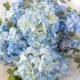 Blue Clouds of Hydrangea Bouquet*