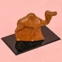 Camel Chocolate by NJD