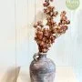 Dry Bogainvillea Vase By Plaisir