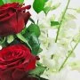 باقة عشق الورد الأحمر الكلاسيكي