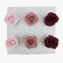 Elegant Rose Cupcakes By Cake Social