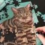 Feline Puzzle Bengal 100pcs by Talking Tables