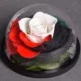 Forever Love - UAE Flag Rose by Forever Rose London