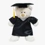 Graduation Bear 38cm By Fay Lawson