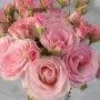 Happy Birthday Luxury Pink Roses Bundle