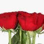 Love Stands Tall Roses Arrangement