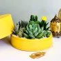 Lush Garden Box - Cheerful Yellow - by WANDER POT
