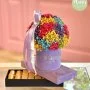 Petite Rainbow And Chocolates - Lilac By Plaisir