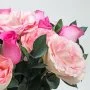 Pink Garden Roses Arrangement