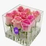 Roses in Acrylic Box (9)