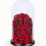 Large Luxury Red Rose Dome 