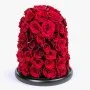 Large Luxury Red Rose Dome 