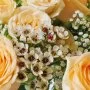 Royal Scents Roses Arrangement*