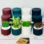 Plant Gift Boxes for UAE National Day by Wander Pot - Set of 12