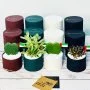 Plant Gift Boxes for UAE National Day by Wander Pot - Set of 12