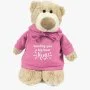 Mascot Bear with "Sending You A Big Bear Hug" Pink Hoodie By Fay Lawson 