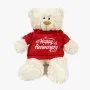 Teddy Bear in Red Hoodie with Happy Anniversary Print by Fay Lawson